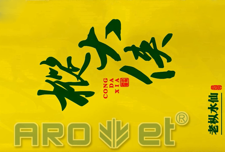 CA88茶叶包装袋喷印装备在客户现场喷印视频